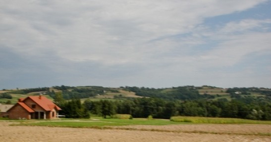 V SJS
